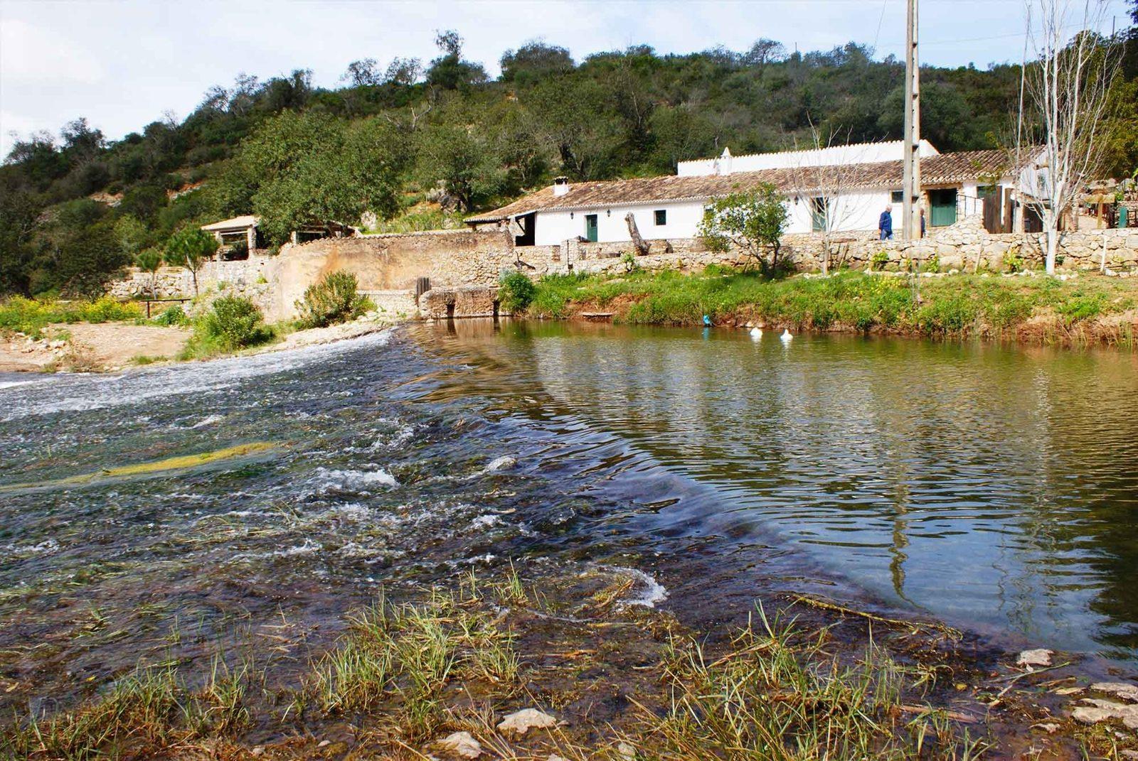 Azenha do Castelo
