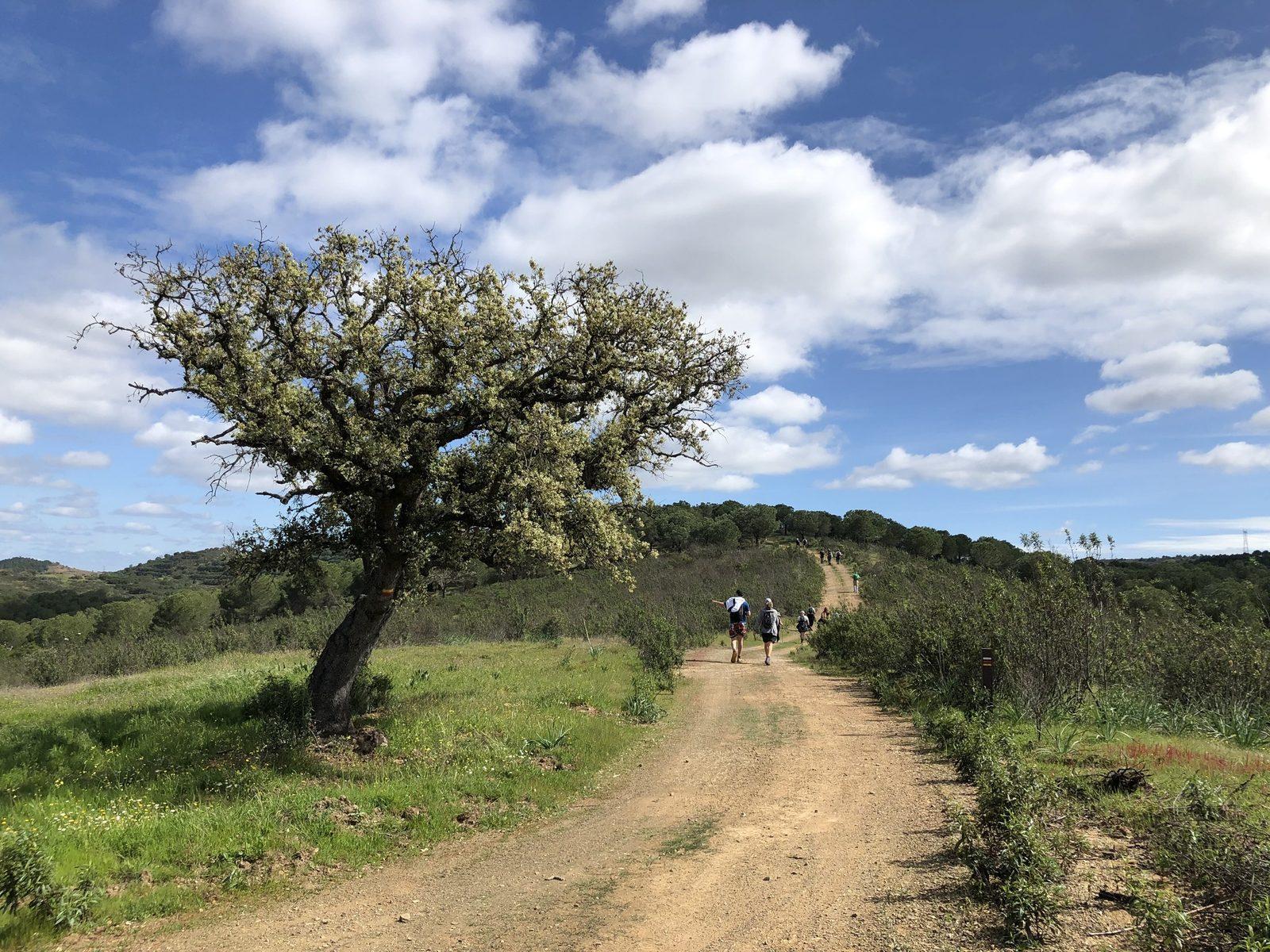Ligacoes da Via Algarviana - 1