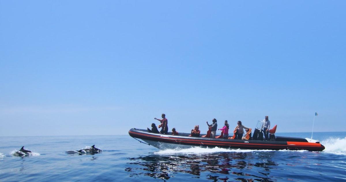 Dolphin Safari and Cave Tour in Vilamoura