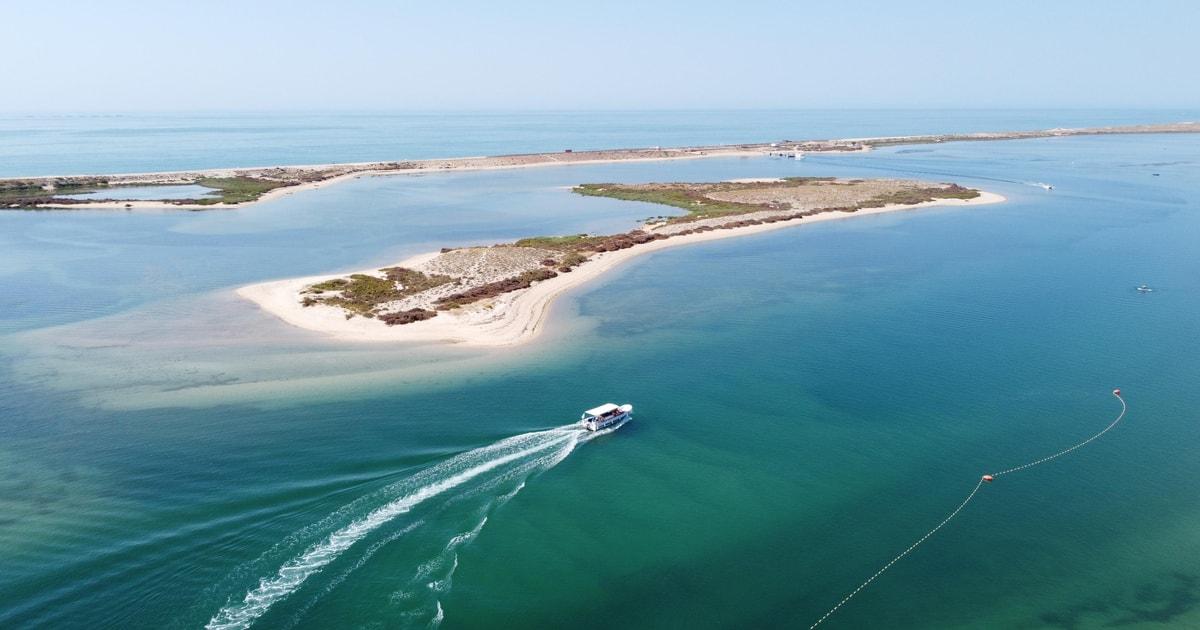 From Fuzeta: 2-Hour Southeast Ria Formosa Boat Trip