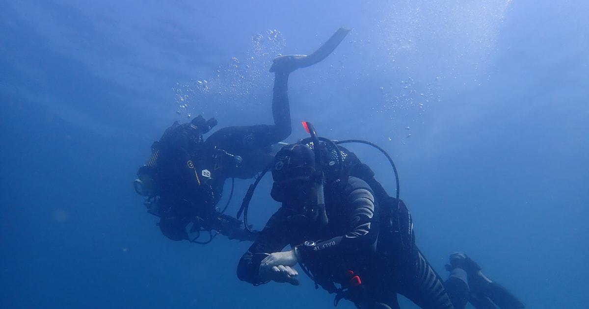 Albufeira: 2 DIVES TRIP (ONLY CERTIFIED DIVERS)