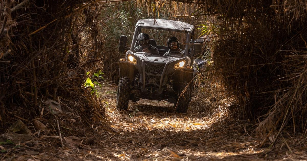 Almancil: Algarve Guided Off-Road Buggy Adventure