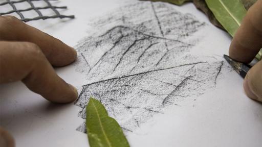 Drawing Workshop – Frottage Technique