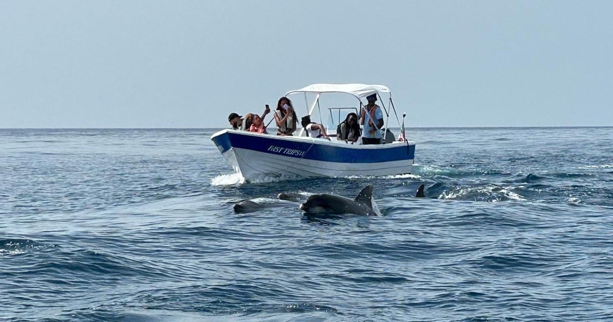 Olhão- Safari Watching Dolphins and other species