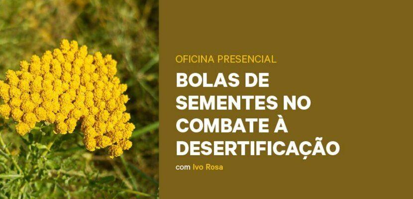 Bolas de Sementes no Combate à Desertificação